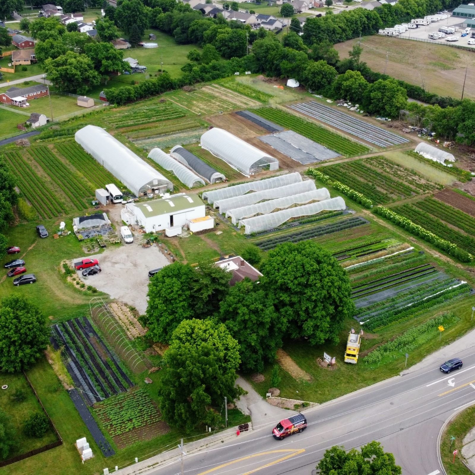 PART 1: From Herd Shares to "Food Churches": The Seductive Pitch That Changed Everything