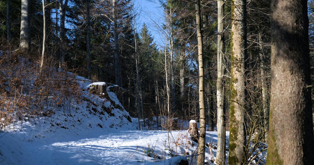 Forest Preserve District of Kane County offers free nature series