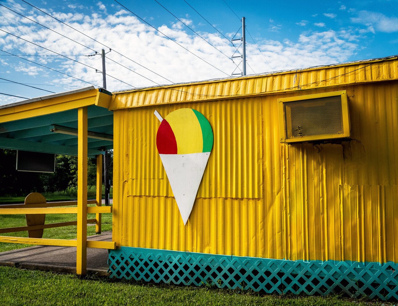 🐝 Local Snake Expert Here In Shreveport