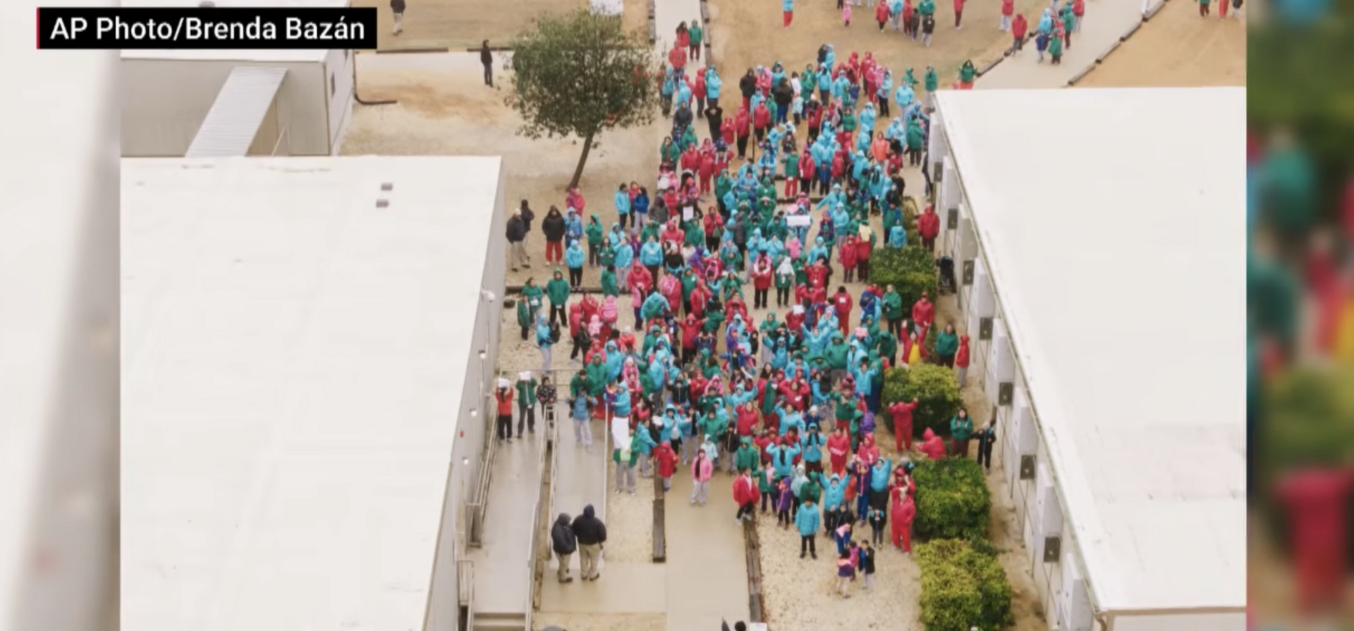 Losing My Perspicacity, January 30, 2026