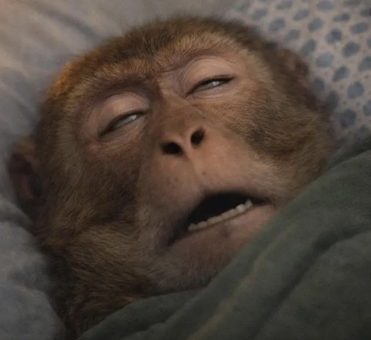 🏠 Google removes AI Overviews