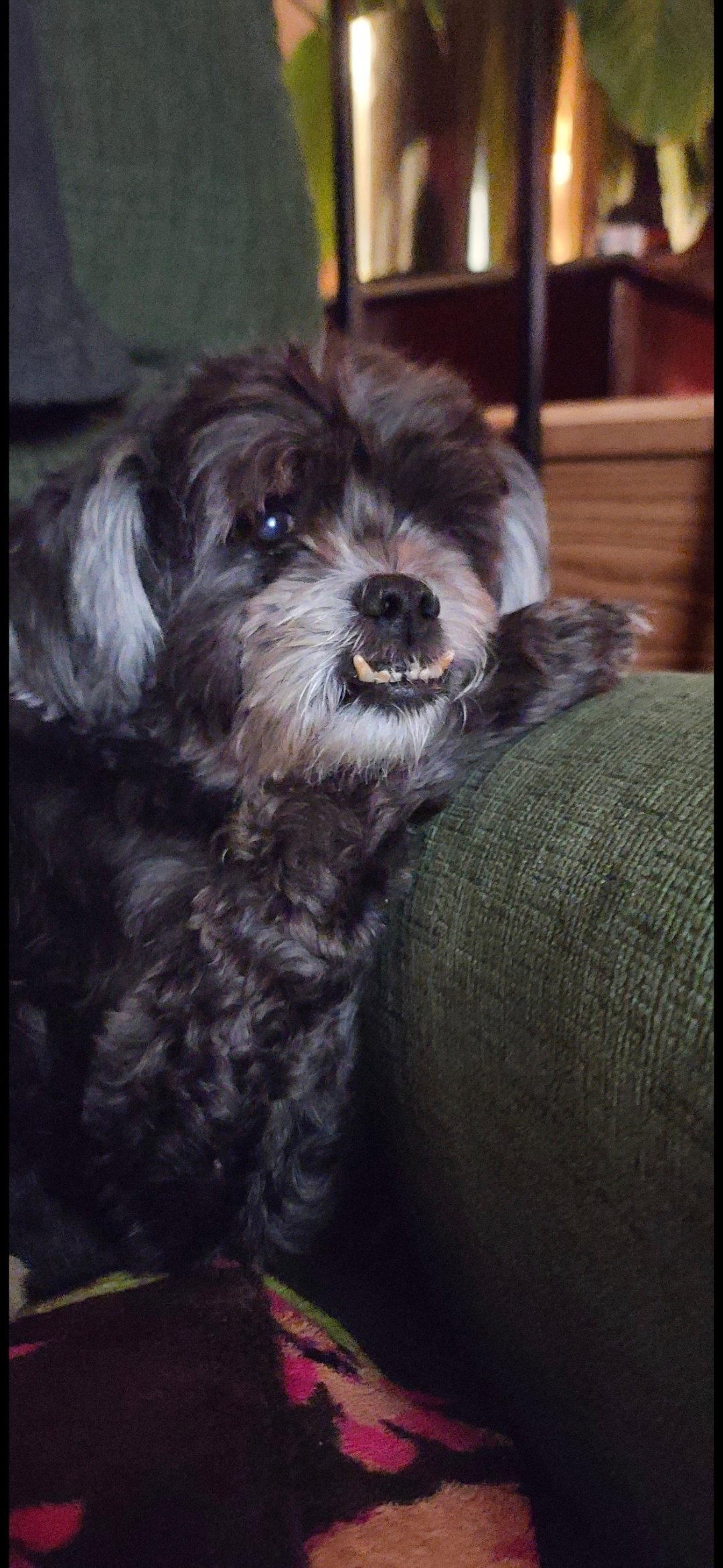 The Only One Who Truly Understood Without a Word