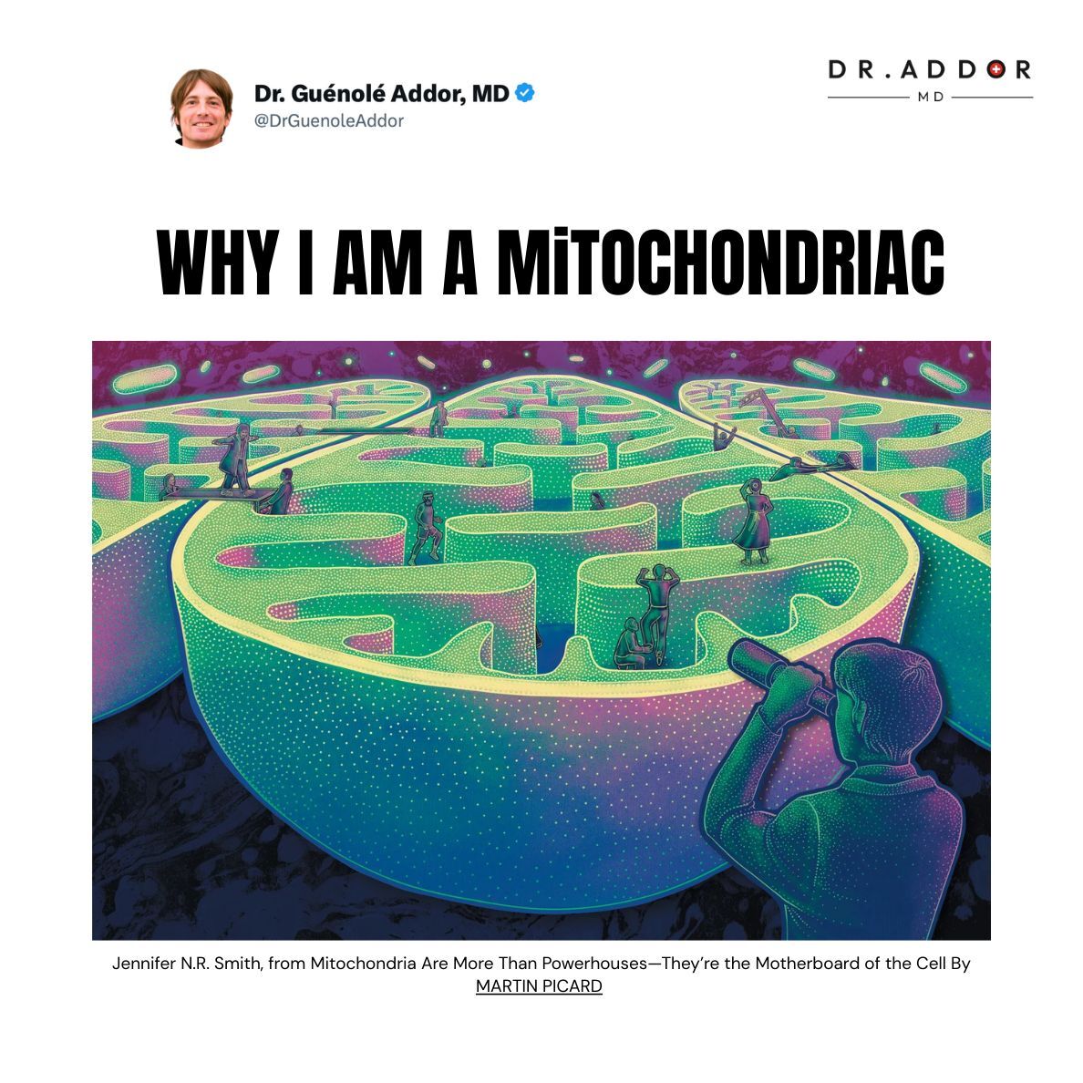 Pourquoi je suis devenu un mitochondriaque (et pourquoi vous devriez l'être aussi)