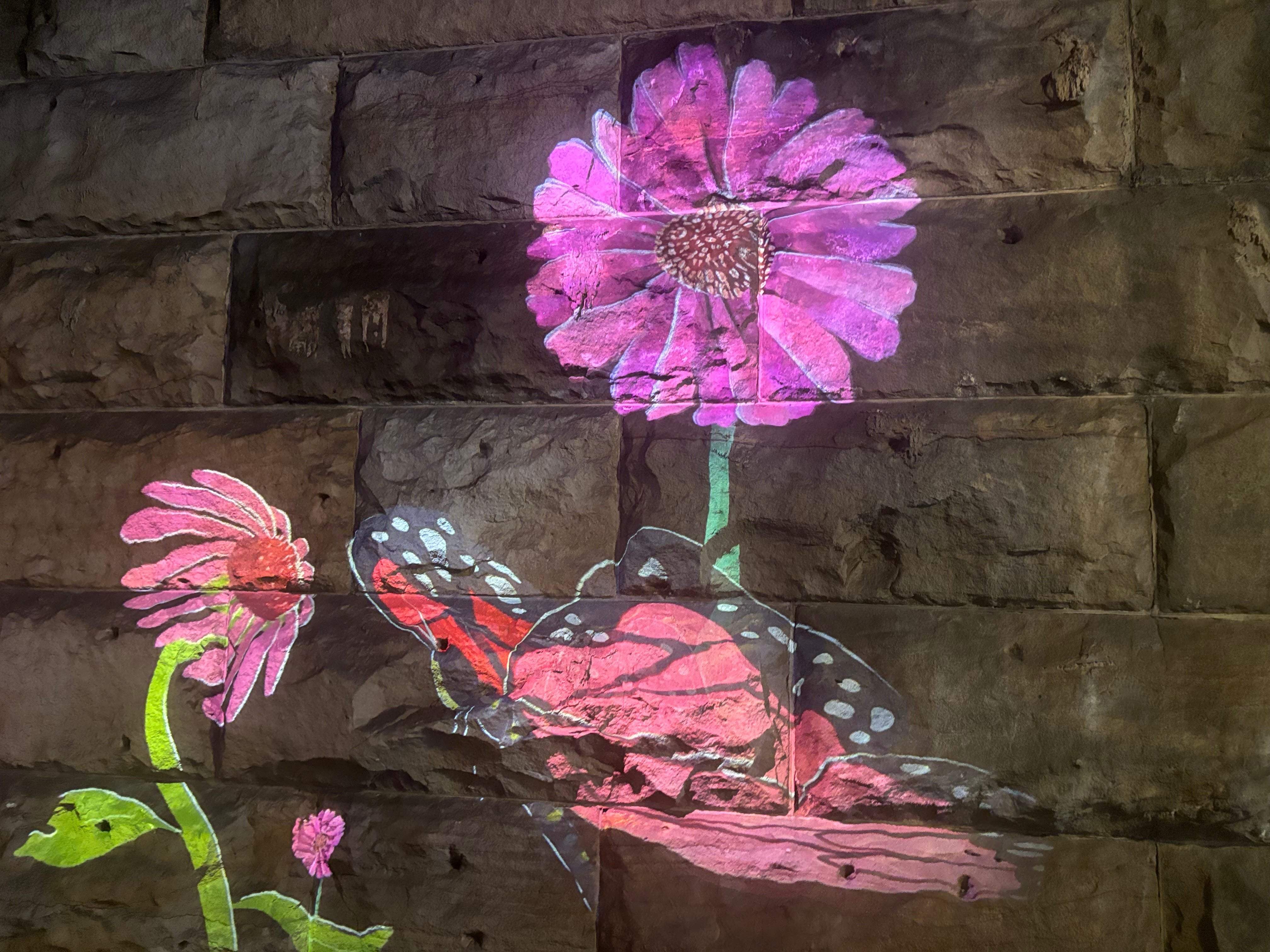 Light In The Darkness