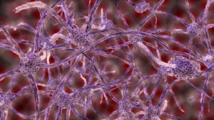 4 ways for managing complexity in increasingly uncertain times