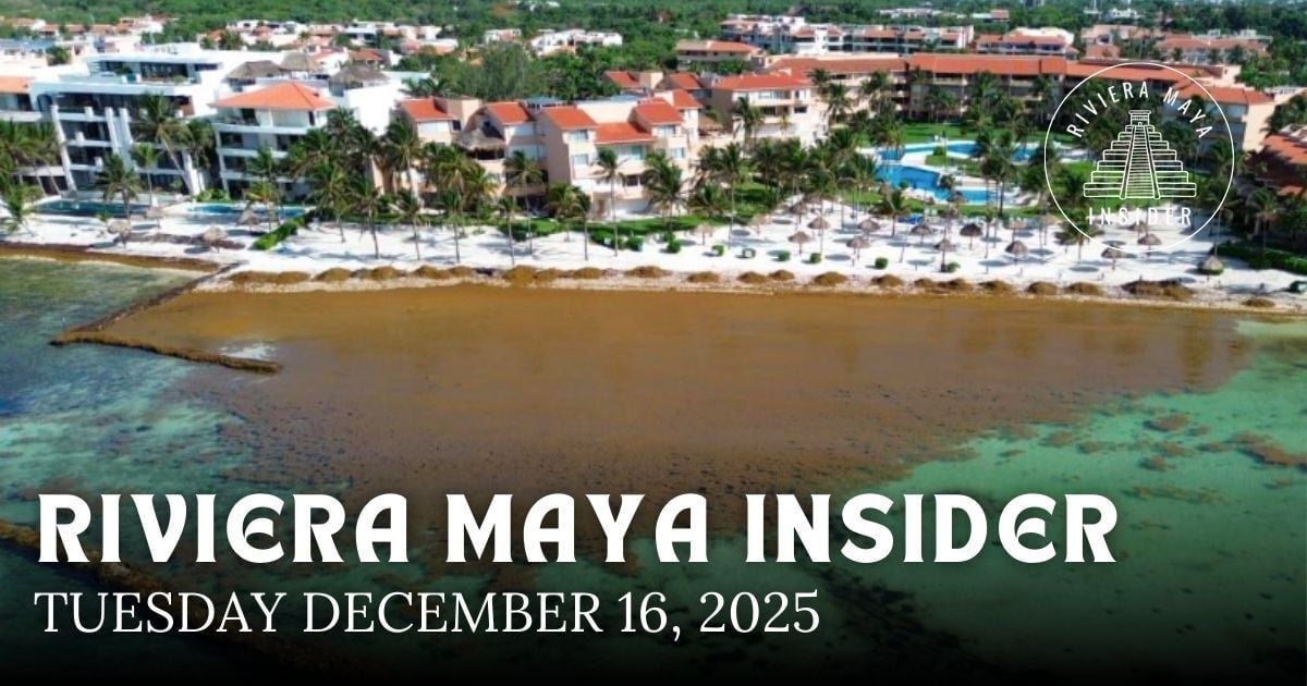 🌴 Puerto Aventuras Strives for a Sargassum Free 2026