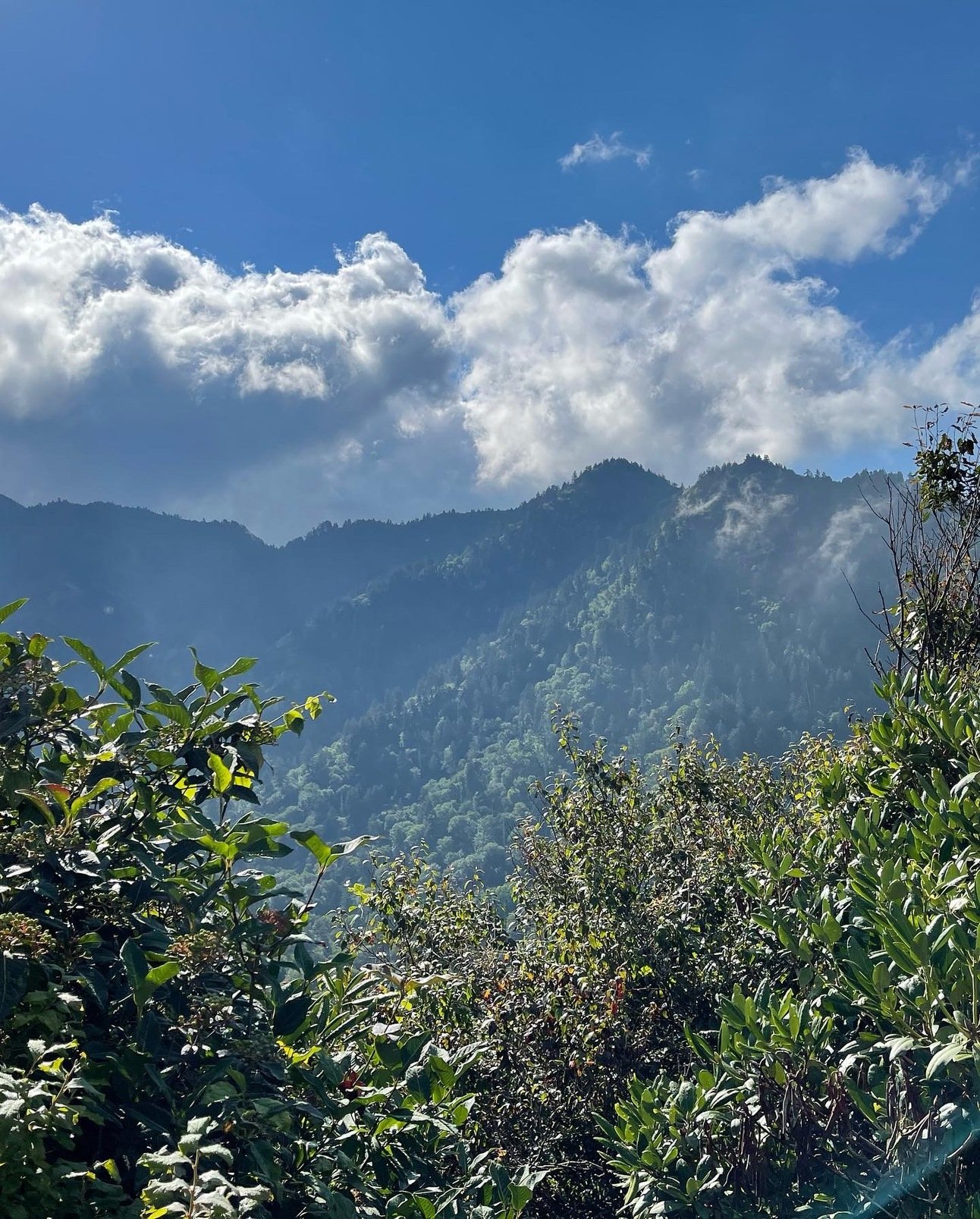 Second world Appalachia and mining content from old family stories