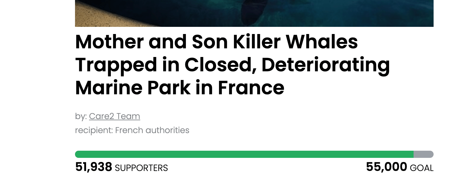 Animal Actions - Save This Mother and Son Whale From Captivity