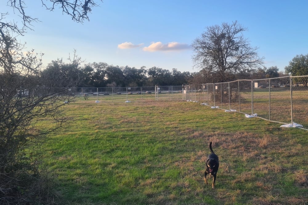 ATX-NNW: Impact 3/10/2026