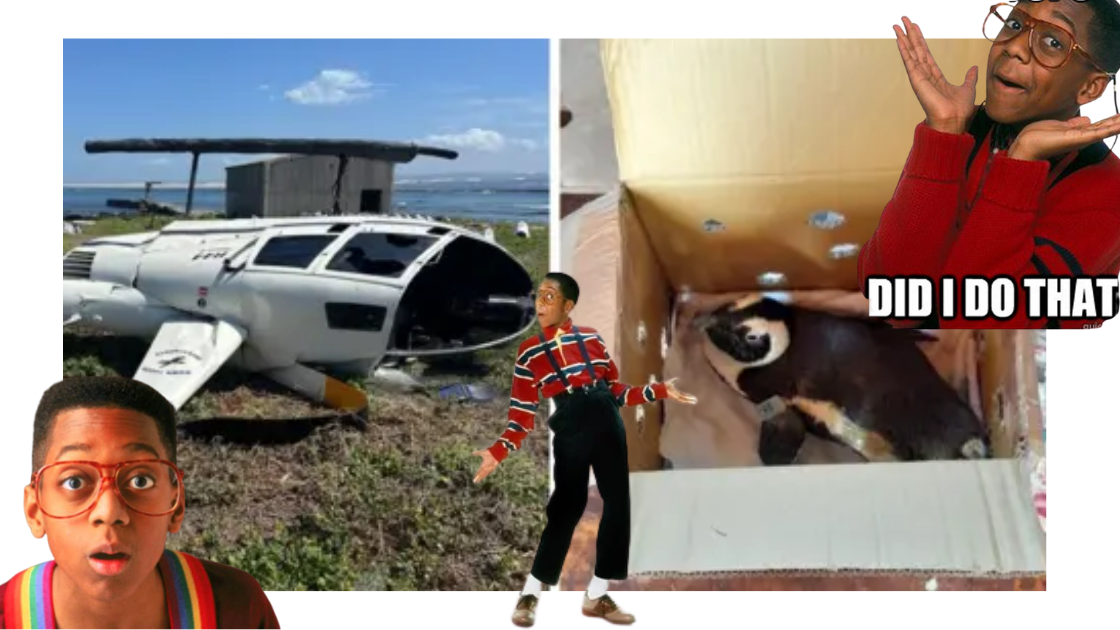 A Penguin Crashes a Helicopter (really) / How Much A&P's Earn in Denver