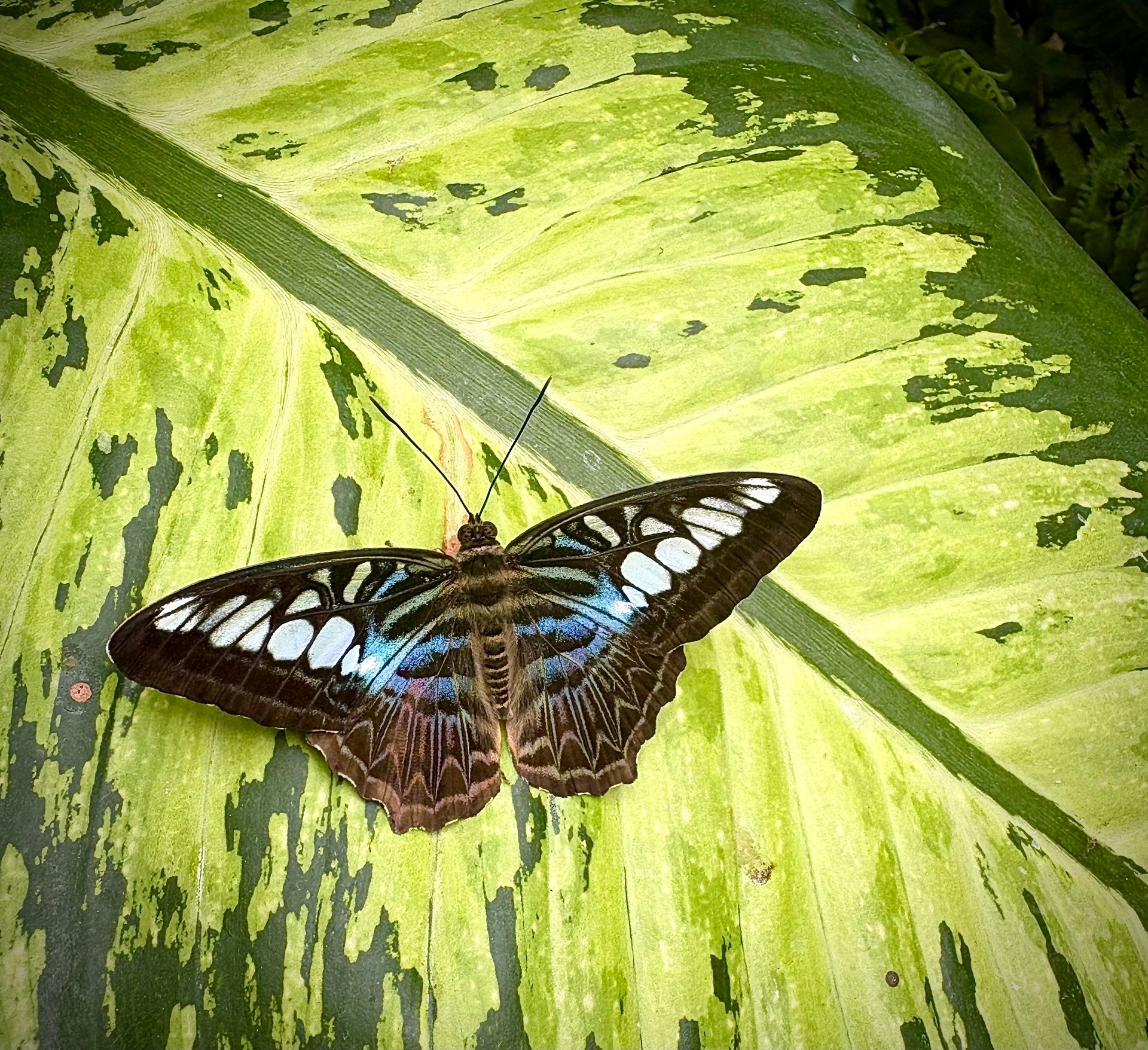 August 2025 Wrap Up- I've Moved!