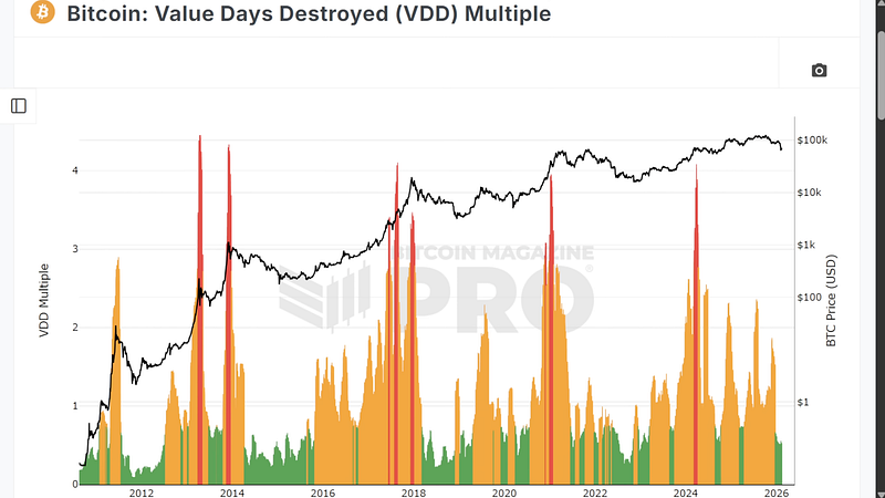 This Bear Market Is Different.