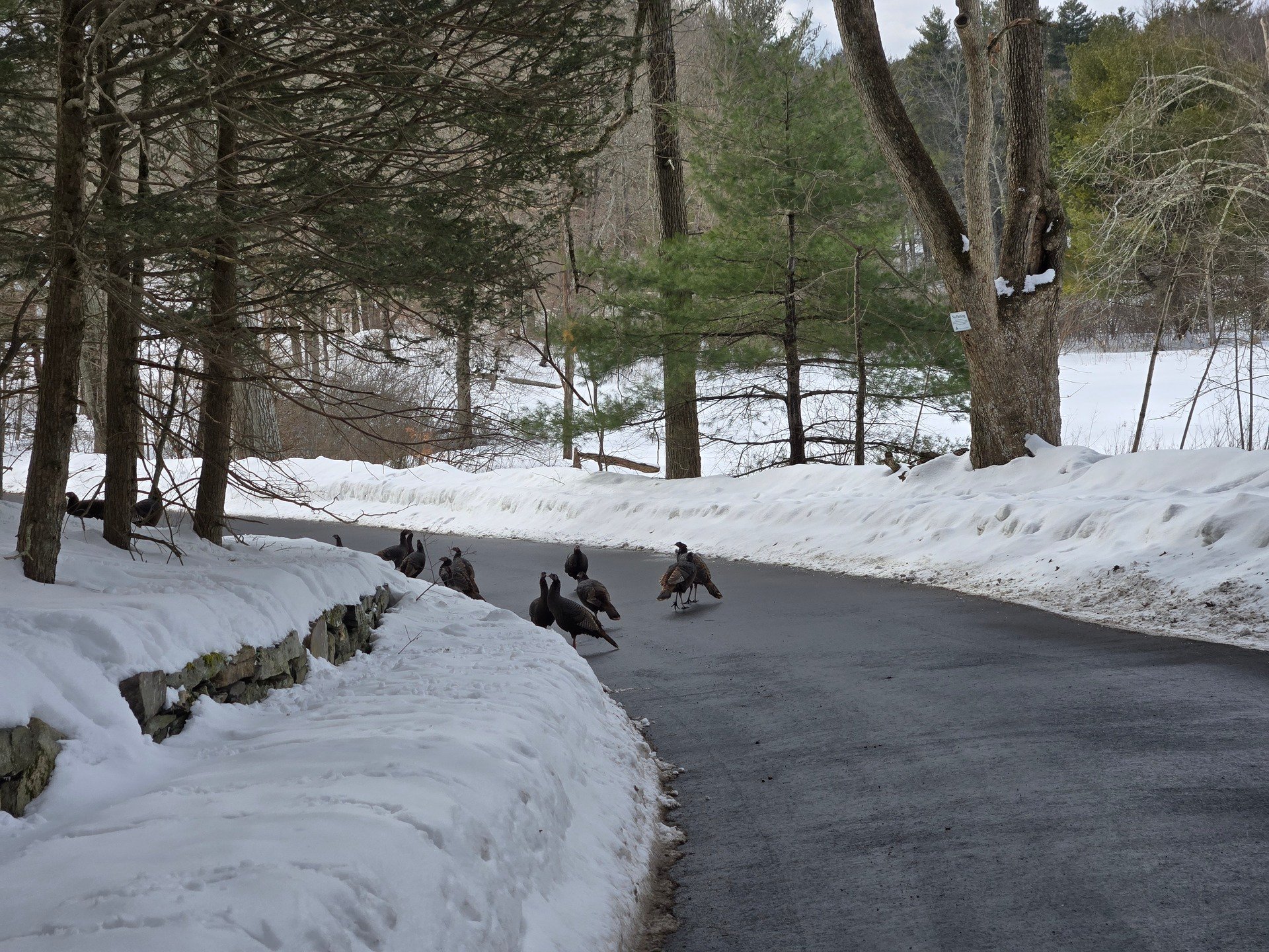 #AcademicRunPlaylist - 2/11/26