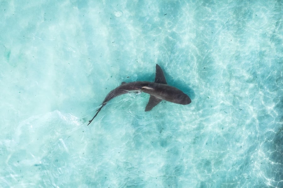 What's on for the kids this April school holidays