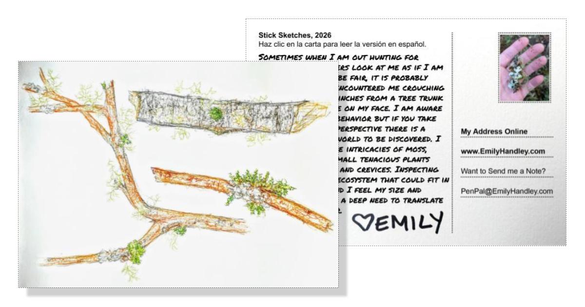 A Postcard about Moss