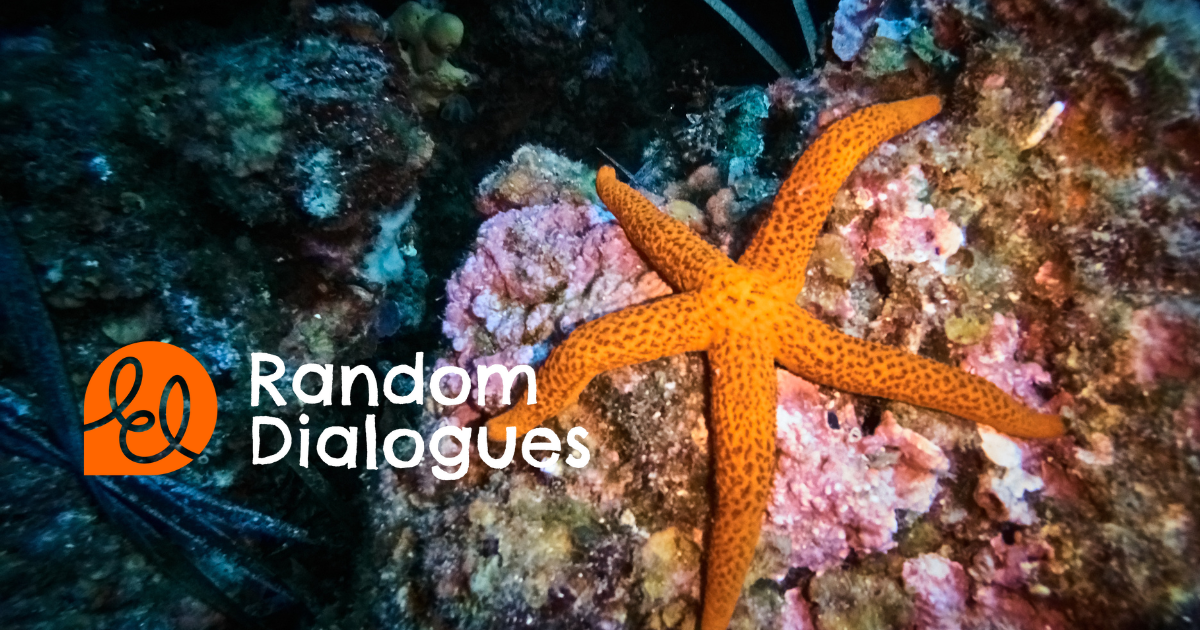 6 talks. 4 blogs. 2 gifs