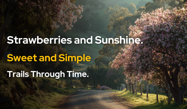 🍂 Strawberries and summer walks