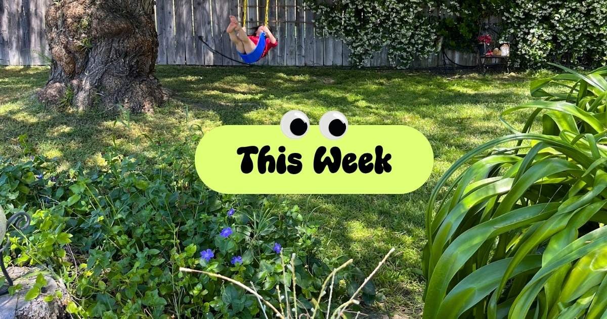 Venice Rising weekly: community, strikes, and spring break survival