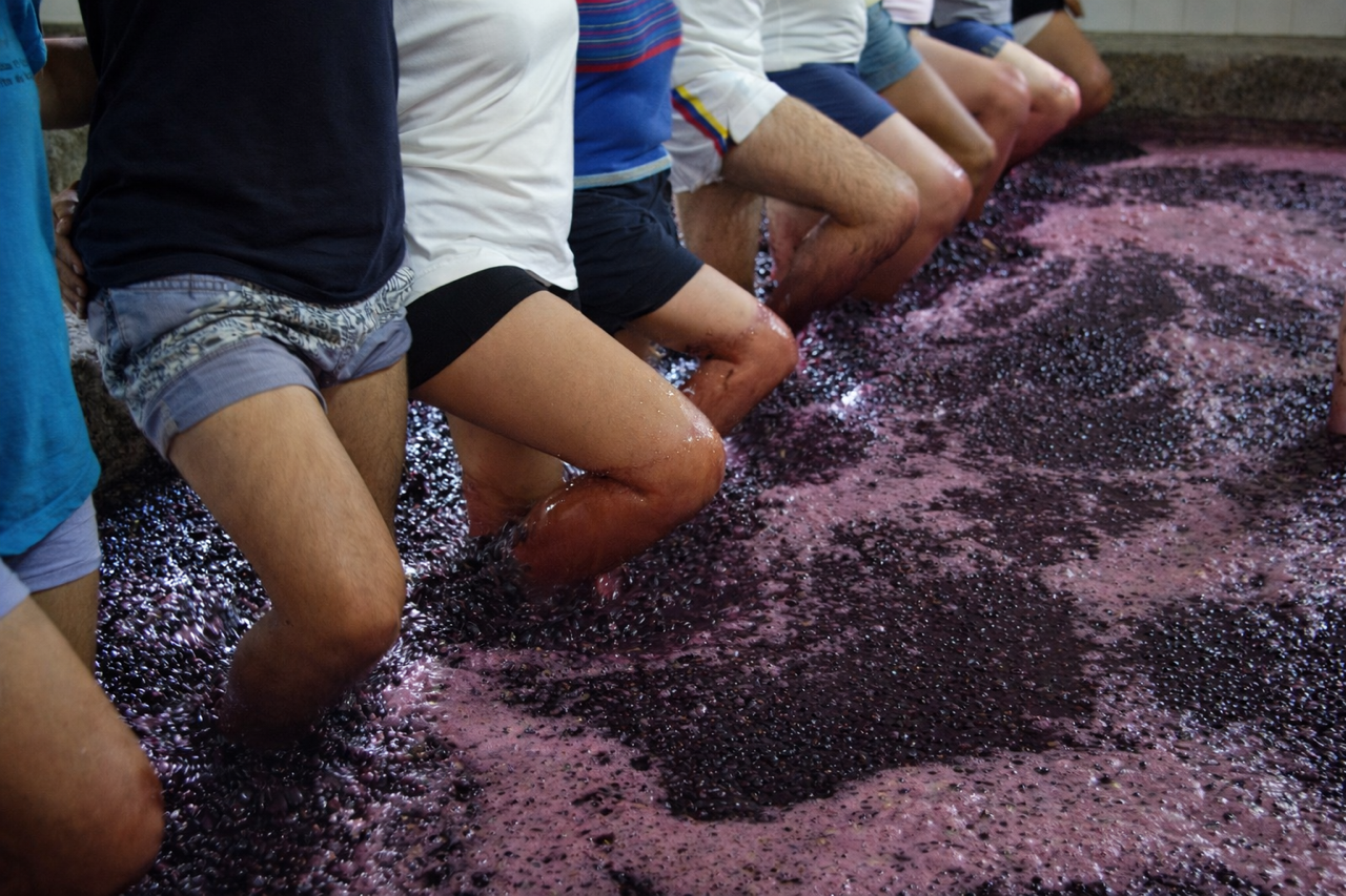 A History of the Color of Port, What Turning 21 Means Today, Best Value White Wine and much more...