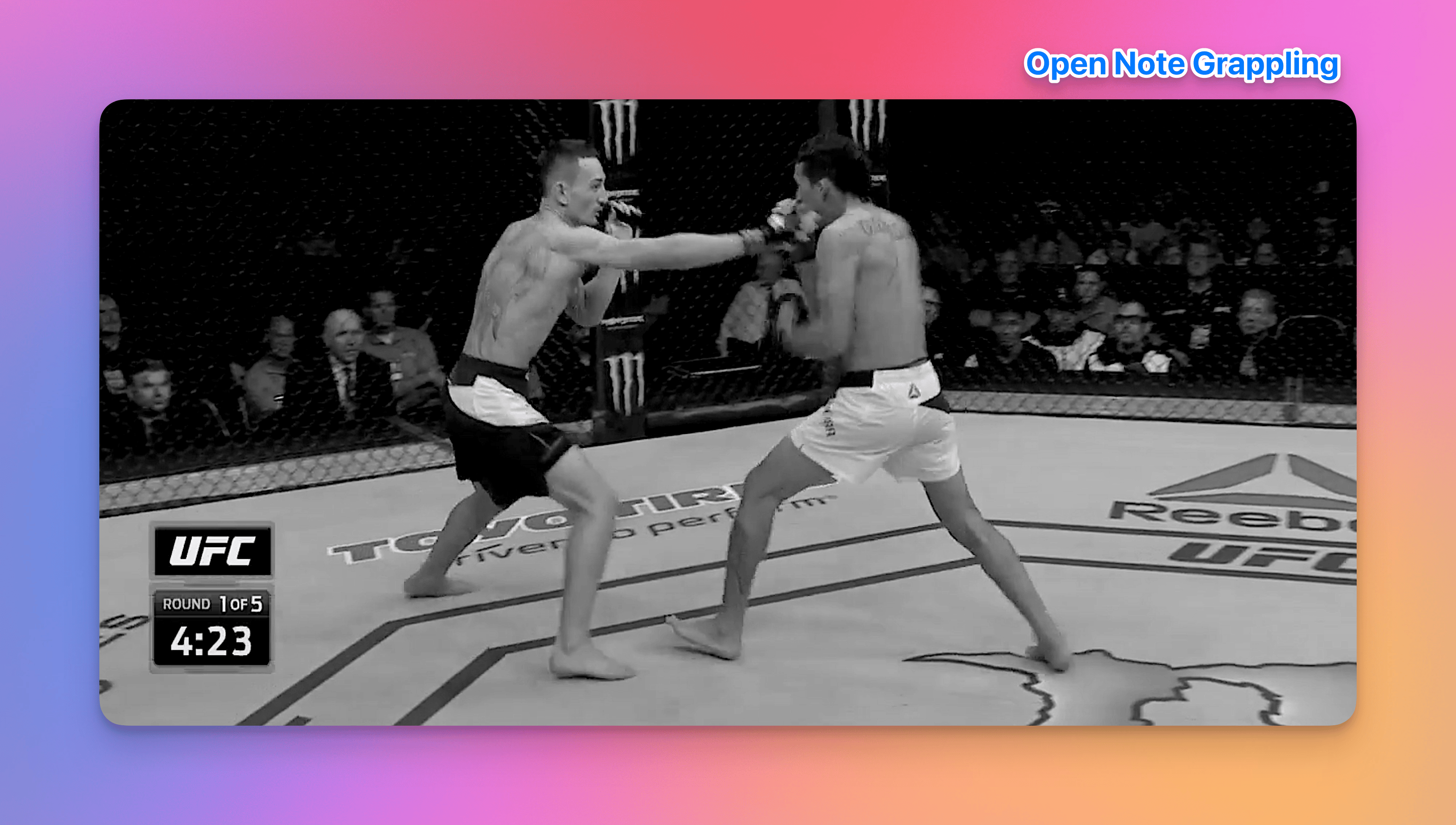 Anti Wrestling For MMA