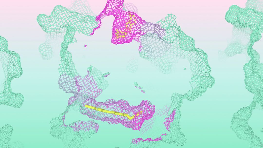 The race to replace AlphaFold just got real