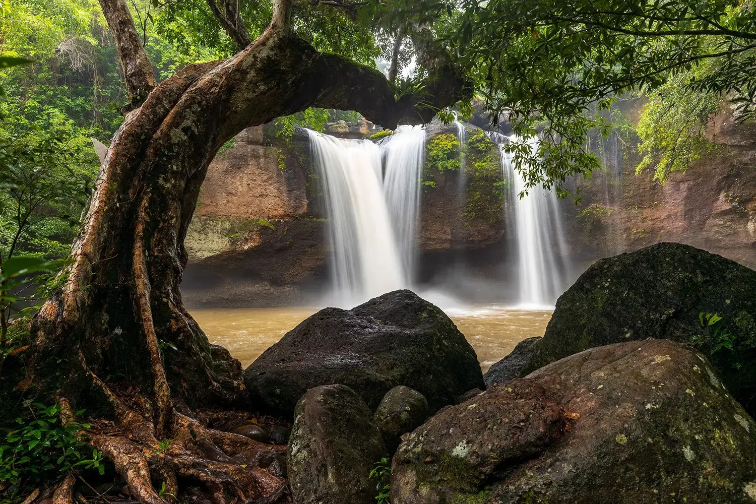 Khao Yai: Forests, waterfalls & one wild encounter