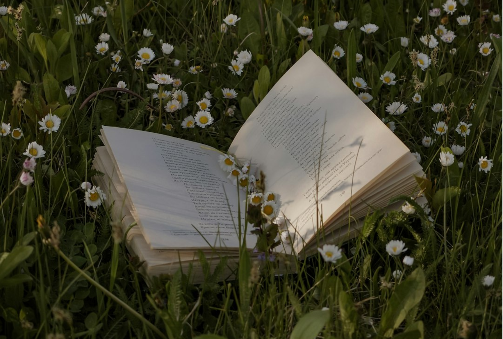 Four Fantasy Must-Read YA Series