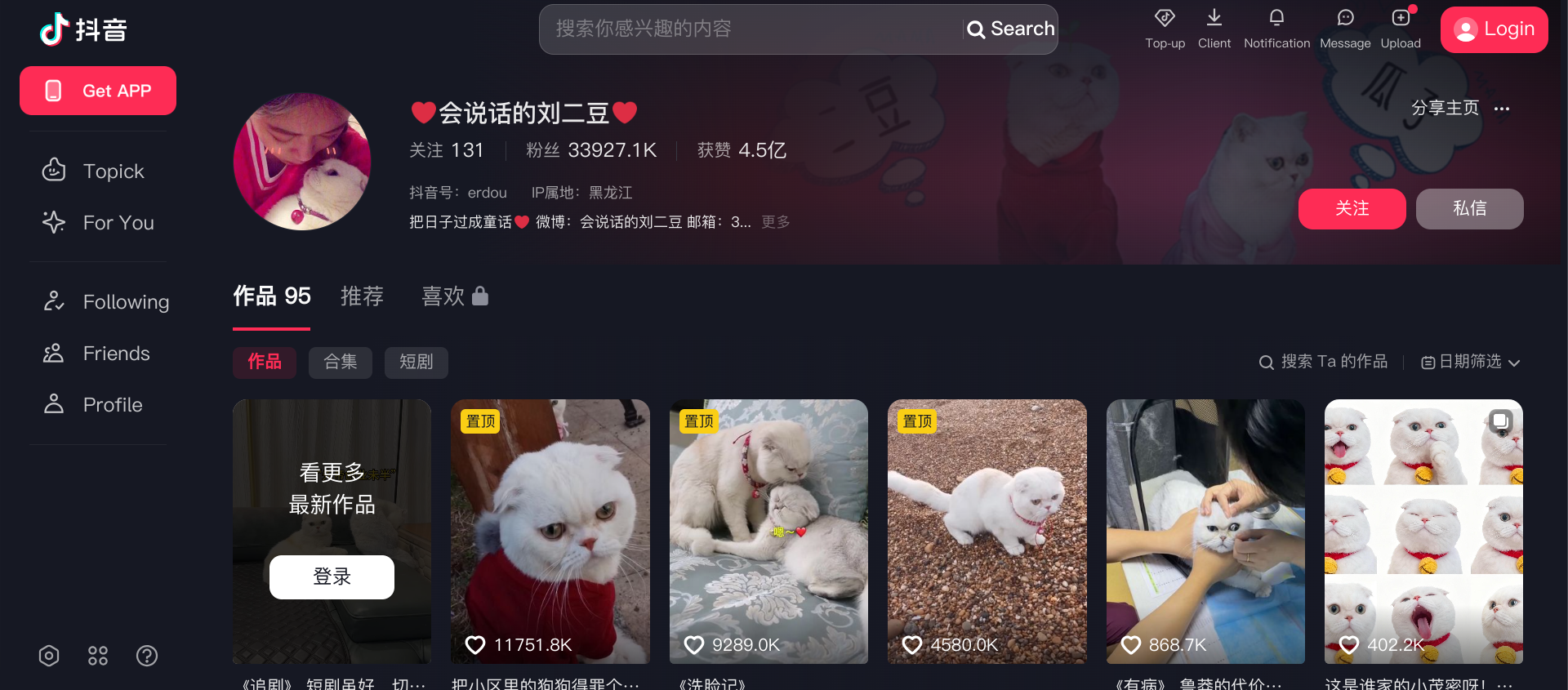 How China’s cat livestream boom is  changing feline marketing