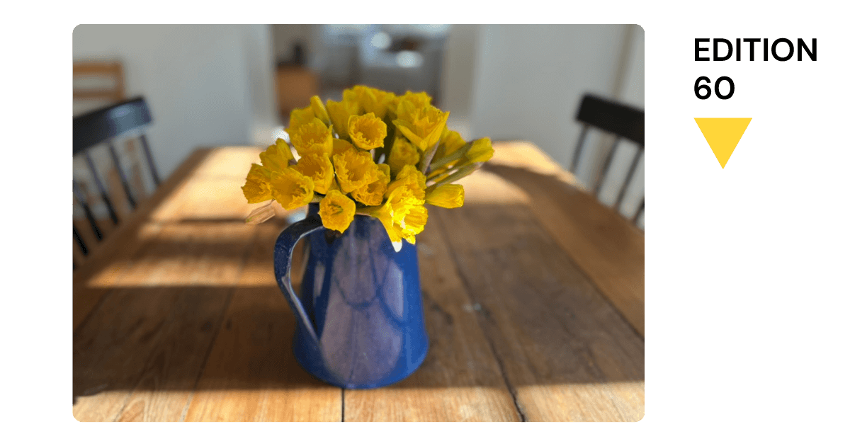 🦴 Less stories about rats, ideally