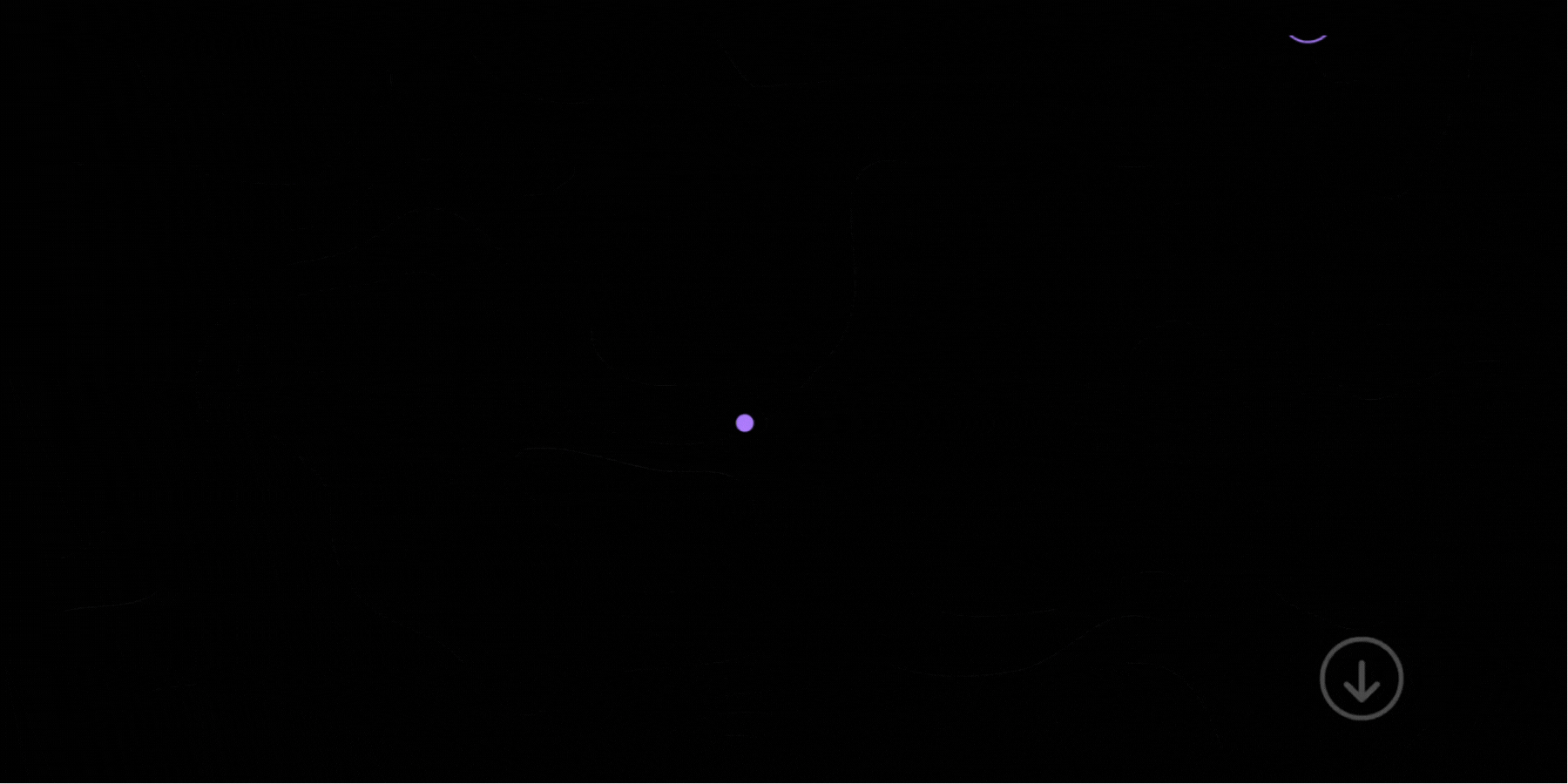 Six months post-rebrand