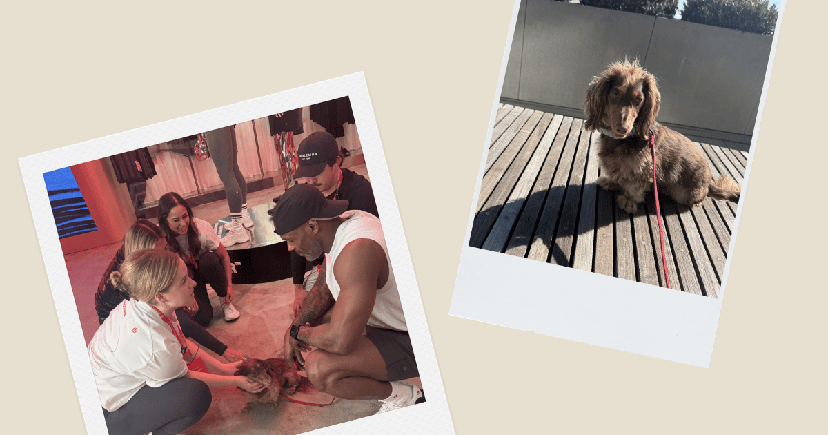 What’s Up With Our Idolization of Burnout and Suffering?