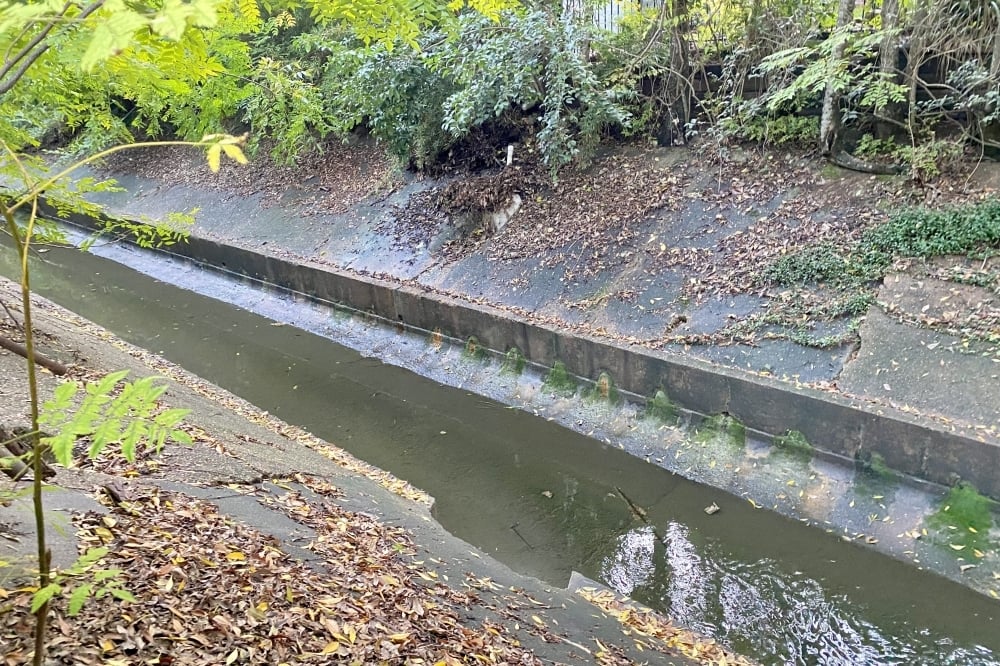 HTX-BMW: Impact 2/11/2026