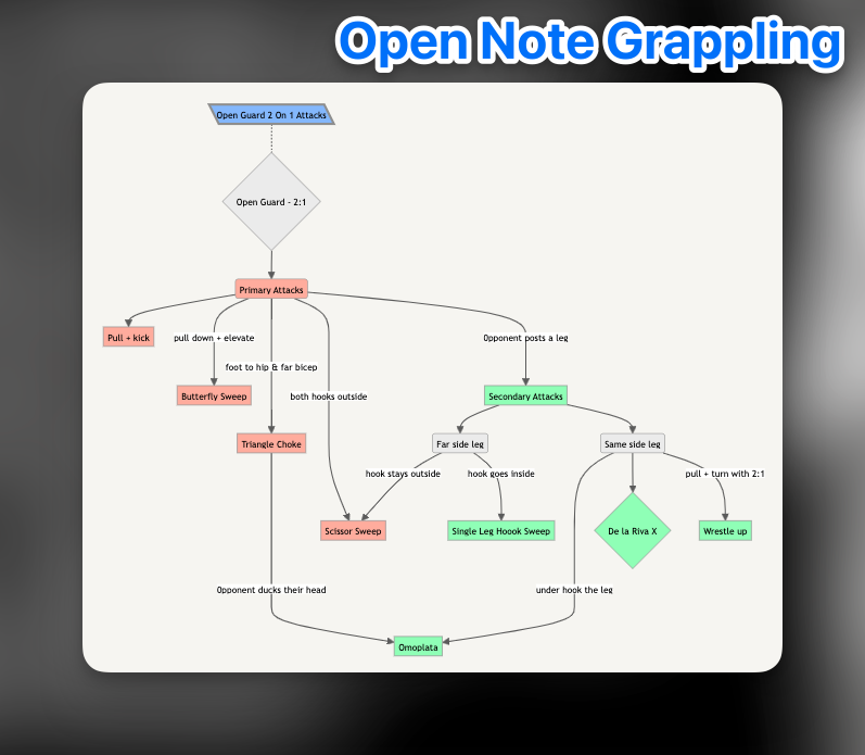 Open Guard 2 On 1 Attacks For Gi And No Gi