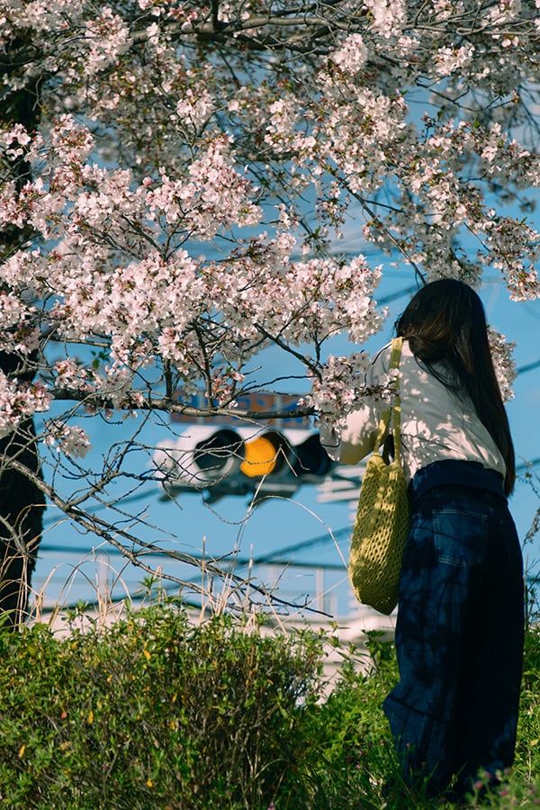 The fragile and the grounded