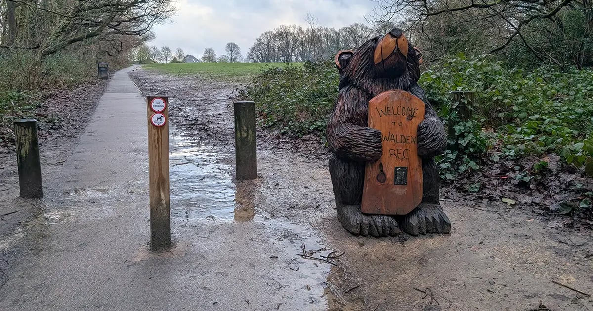 Duck Ponds and Cumin Noodles