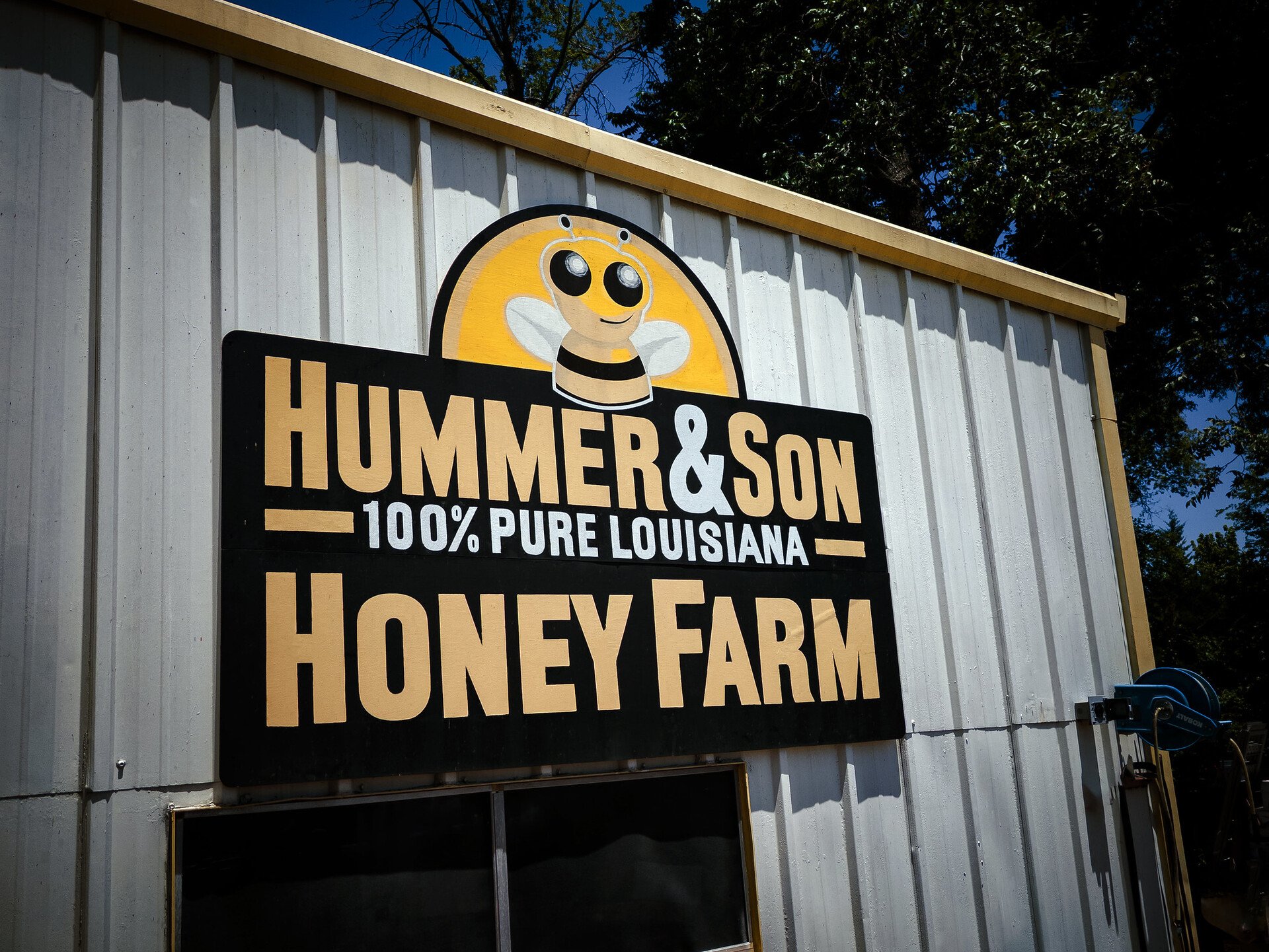 🐝A Weekend Full of Adventures