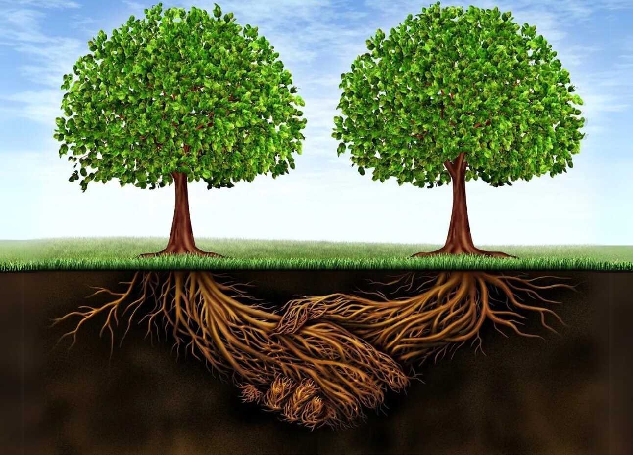 The ABCs of Partnership