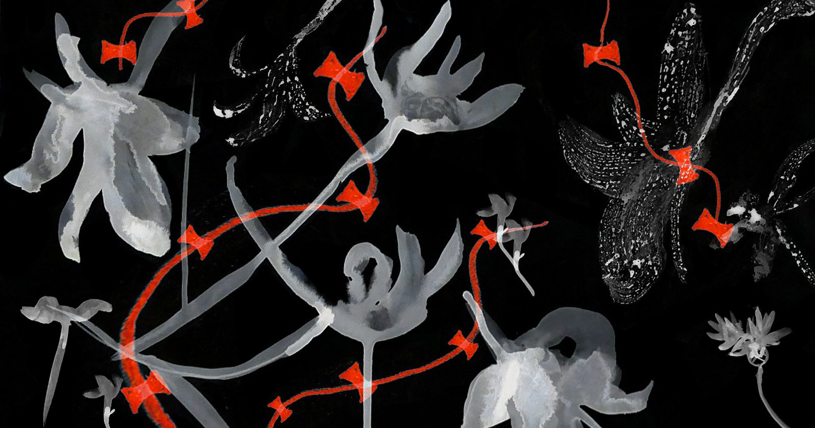 A Landscape, Simplified