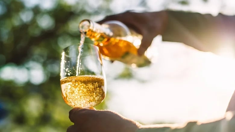 The Best Winery in Every State, Lodi Deep Dive, Inside Chateau d'Yquem, and much more...