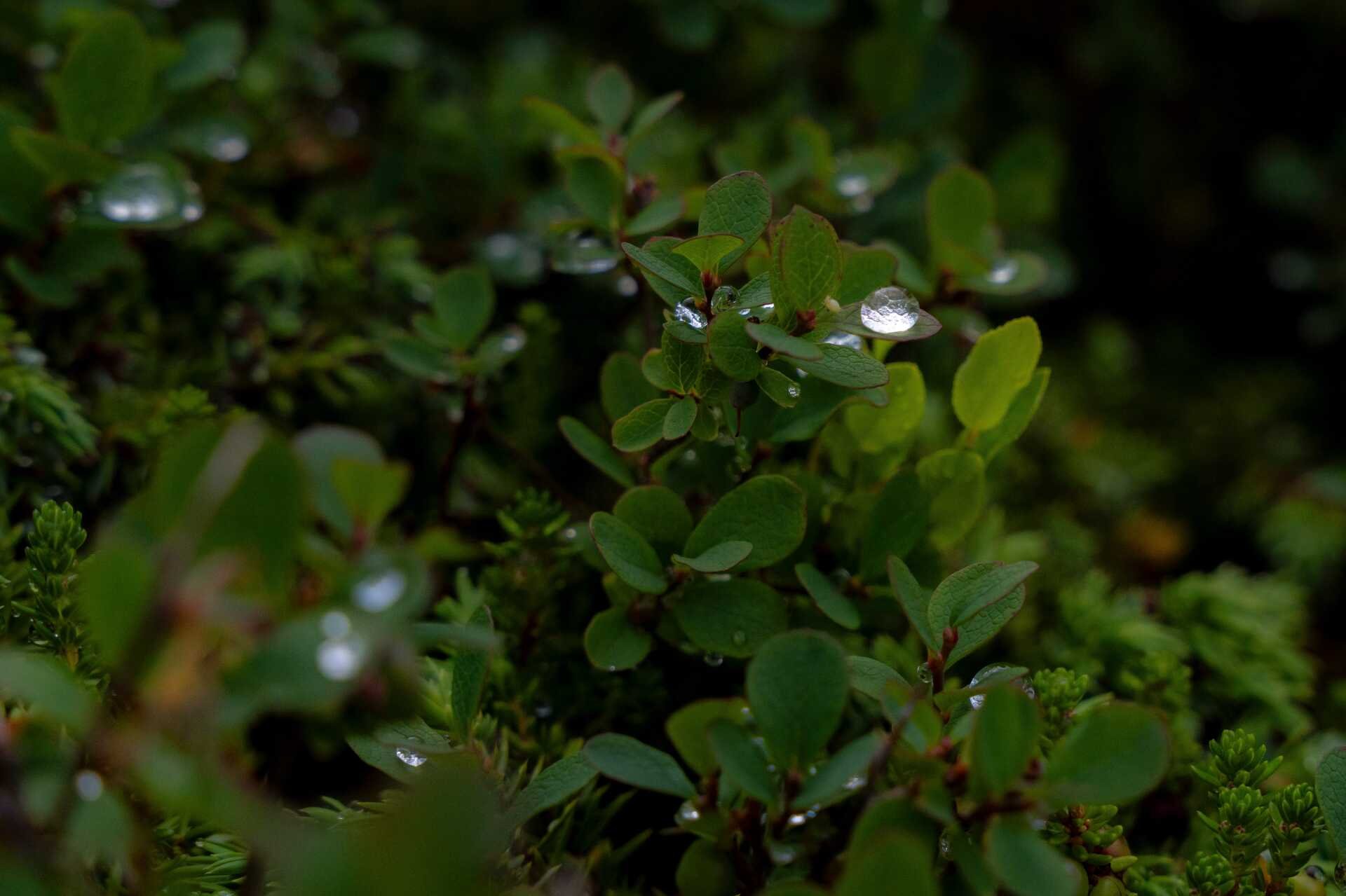 In Ten Photos: 08 — Westfjords