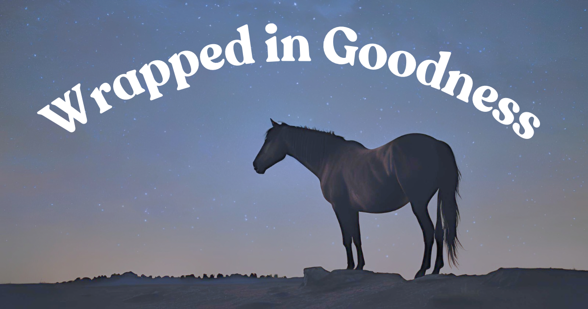 Wrapped in Goodness: Protein Rolls, Nina Simone, and Finding Your Own Way
