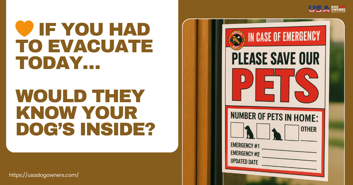 🧡  If You Had to Evacuate Today... Would They Know Your Dog’s Inside?