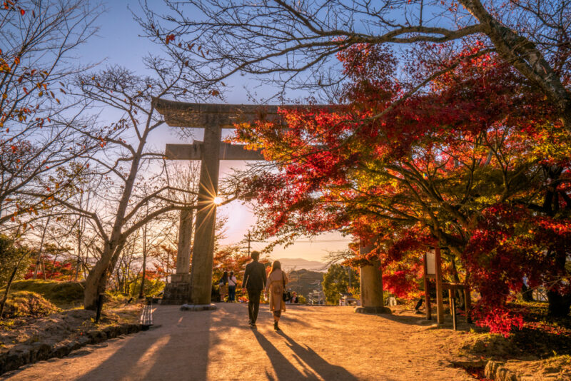 Fukuoka in Autumn: A Guide to Stunning Foliage and Cultural Festivities