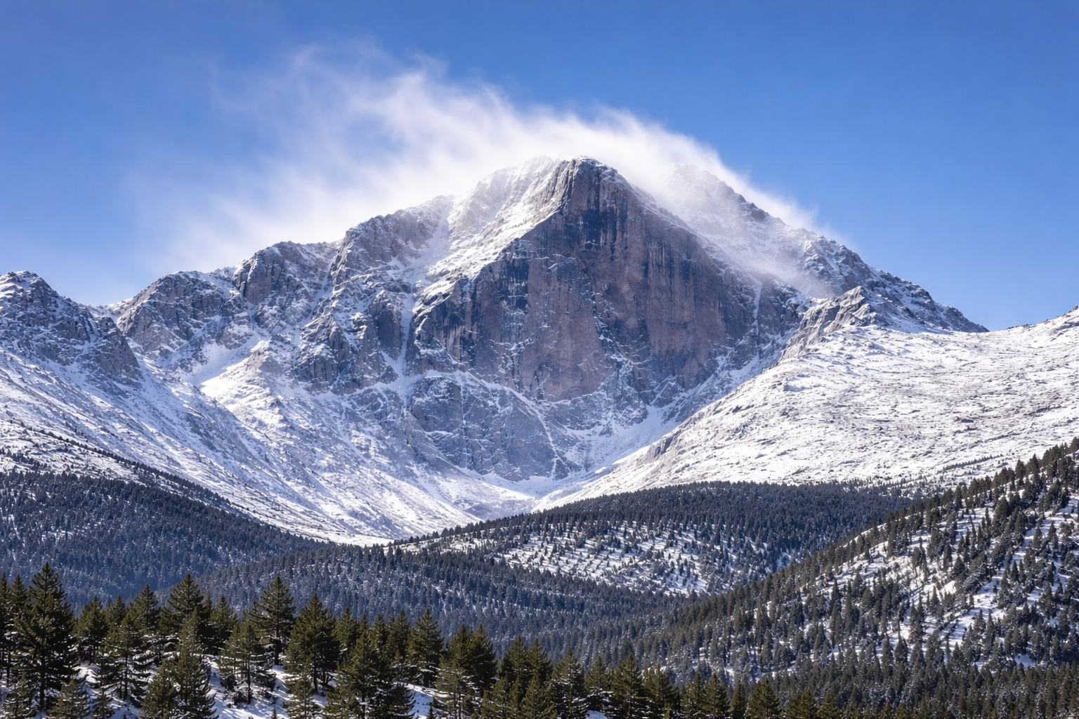 Trail Notes Newsletter: Between Snow & Thaw