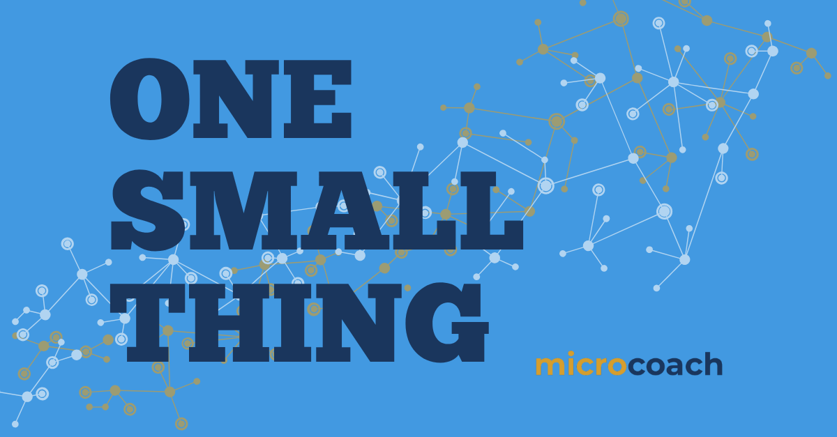 One Small Thing