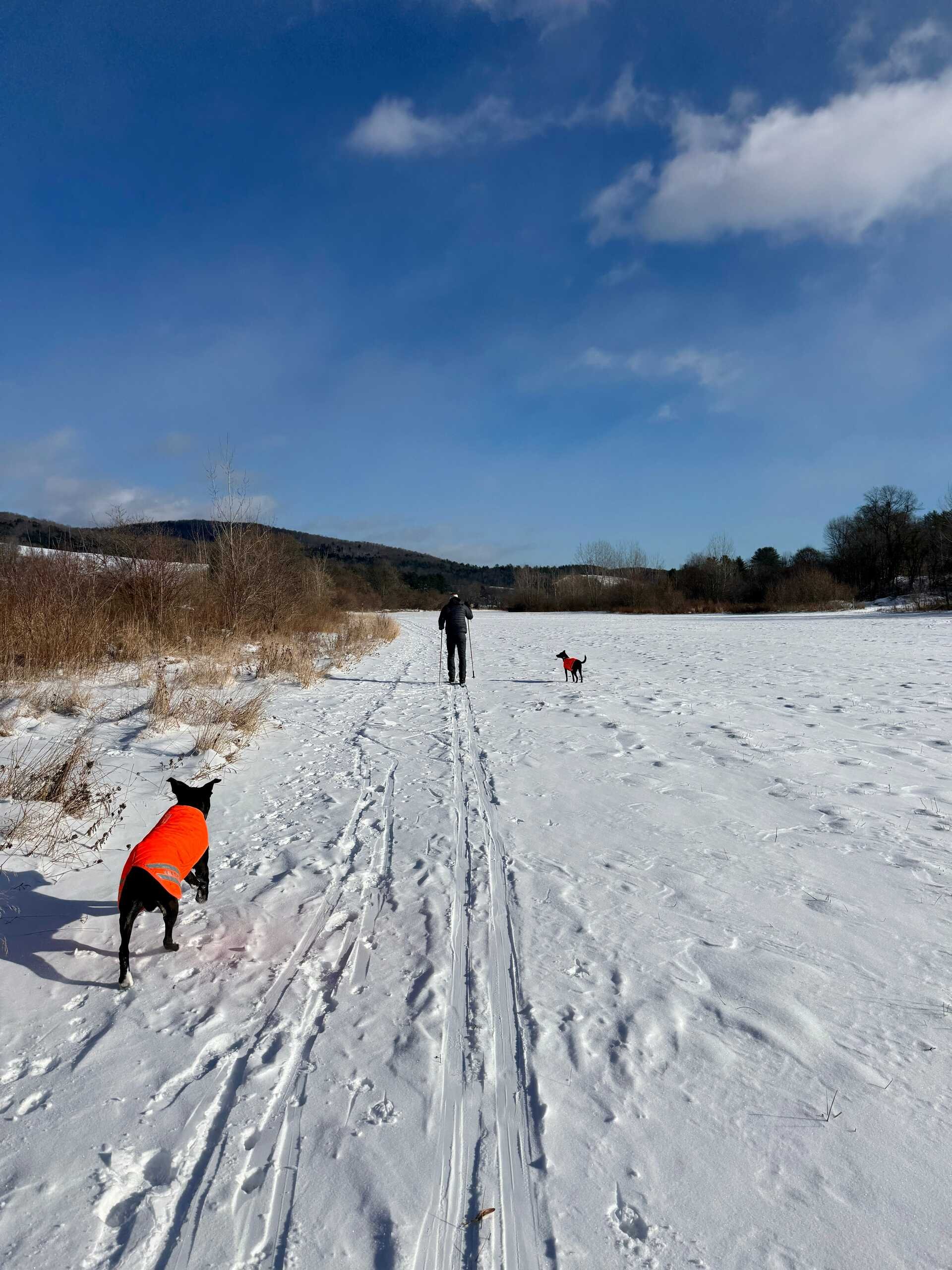 2026 is the Year of Analog