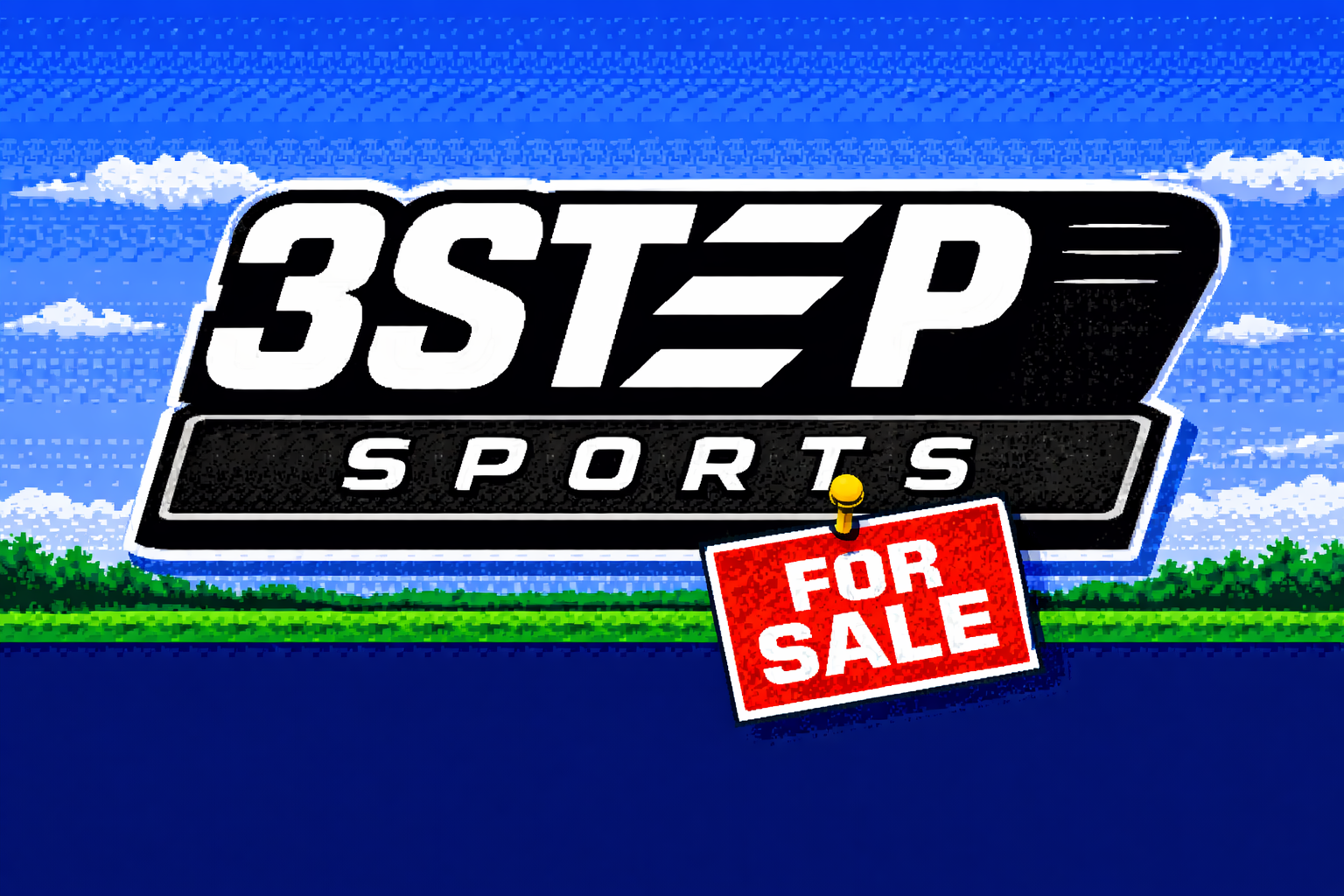 🥎 3Step Sports Is On The Market