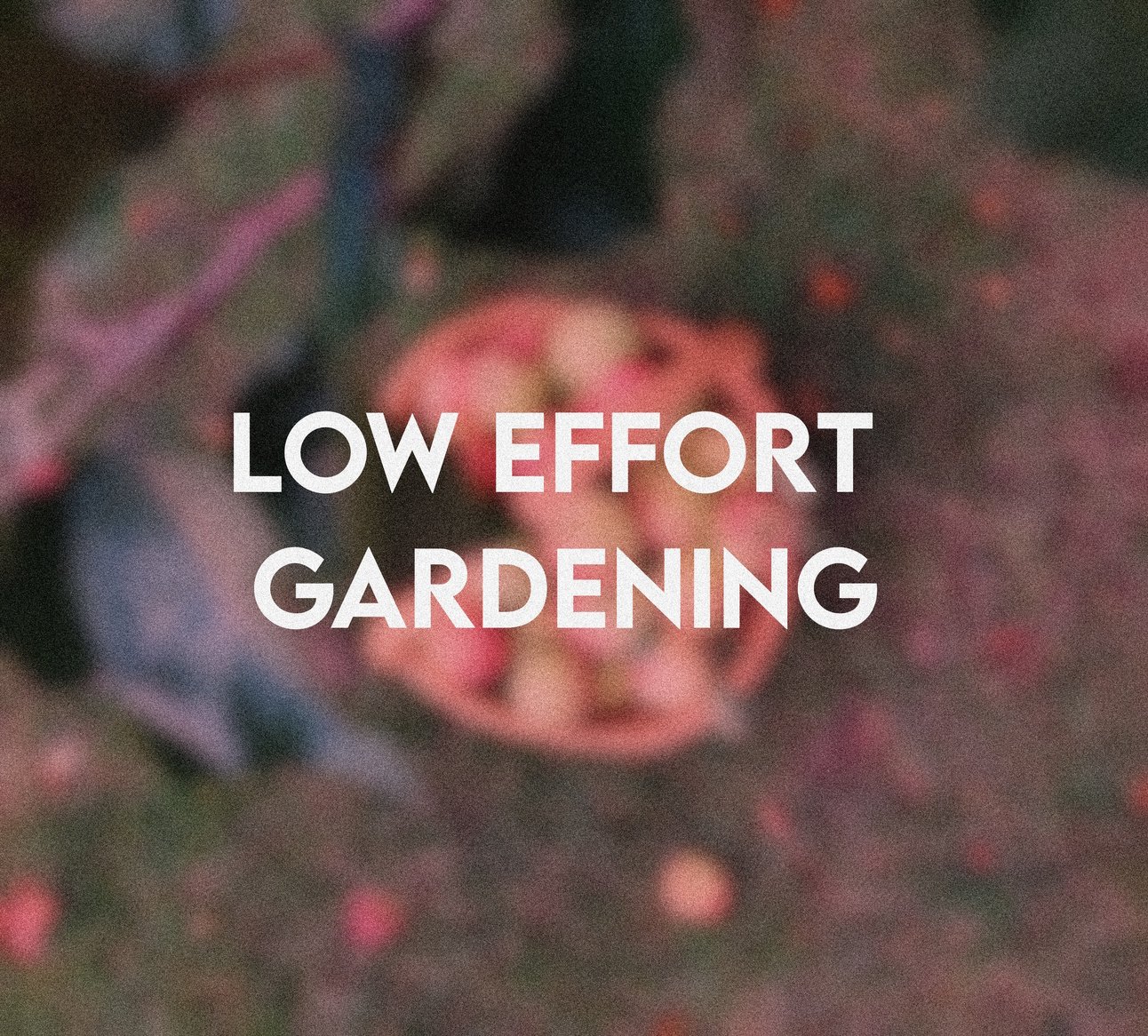 Low Effort Gardening