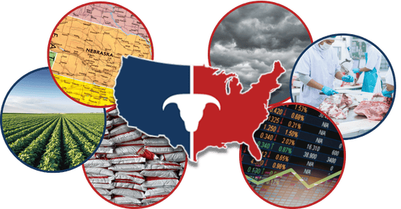 CATTLEUSA DRIVE - Tuesday, March 17th