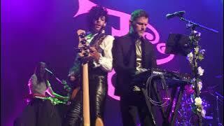 I Wanna Be Your Lover